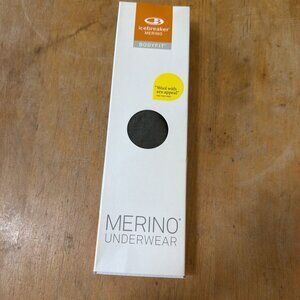 NEW icebreaker Bodyfit Merino Women M Siren Hipkini Panty Green 150 All Season